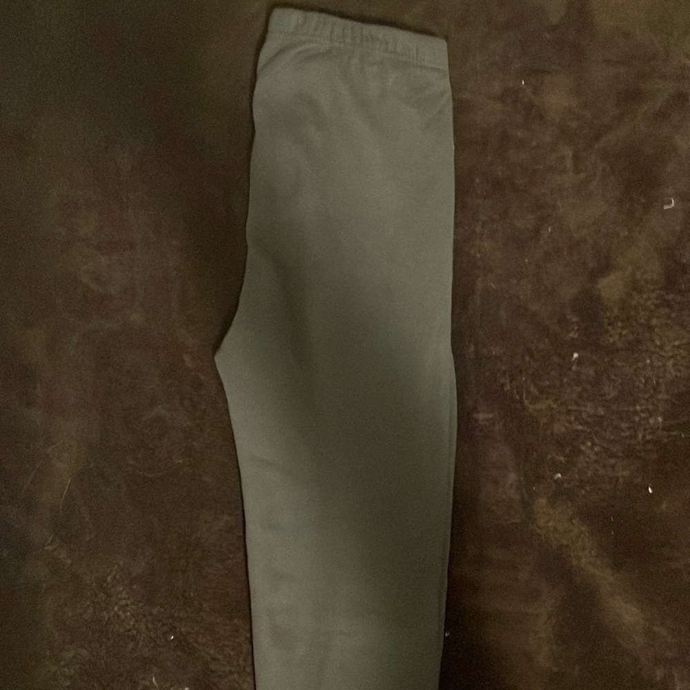 Just Cozy Medium/Large lined leggings.
